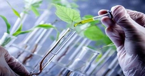 Nanotechnology as a Powerful Tool in Plant Sciences